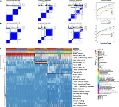 The Study of Sarcoma Microenvironment Heterogeneity Associated With Prognosis Based on an Immunogenomic Landscape Analysis